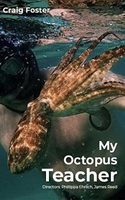 My Octopus Teacher poster